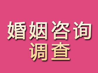 正宁婚姻咨询调查